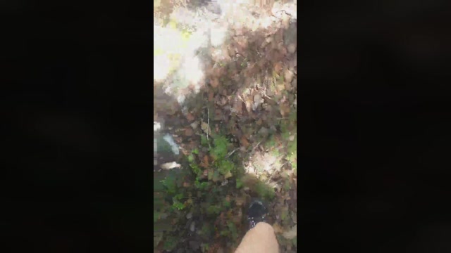 squirt109  04-09-2022